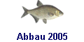 Abbau 2005