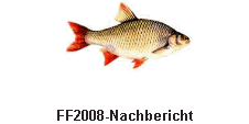 FF2008-Nachbericht