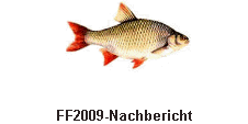FF2009-Nachbericht