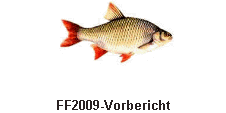 FF2009-Vorbericht