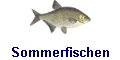 Sommerfischen