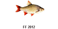 FF 2012