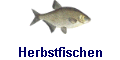 Herbstfischen