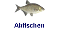 Abfischen