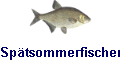 Sptsommerfischen