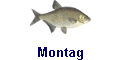 Montag