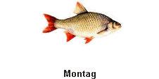 Montag