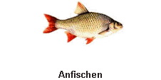 Anfischen