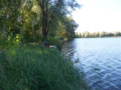 Idyllischer Blick auf die Angelplätze am Südufer